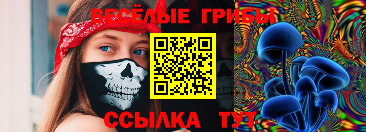 Псилоцибиновые грибы Psilocybe  Вход с VPN  Дубна 
