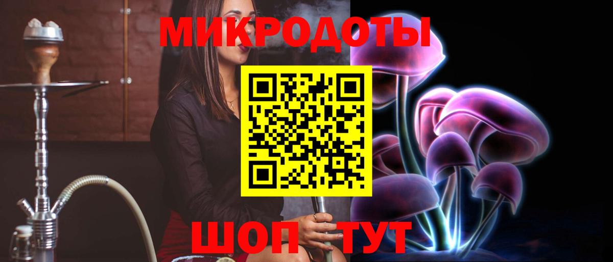 Псилоцибиновые грибы Cubensis Дубна